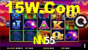 NN55